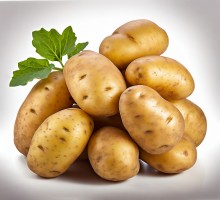 promotion image